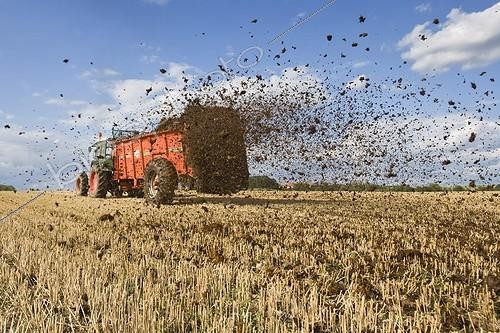 Biosphoto | 502844 | Spreading manure on a field covered with stubble | &copy; Claudius Thiriet / Biosphoto