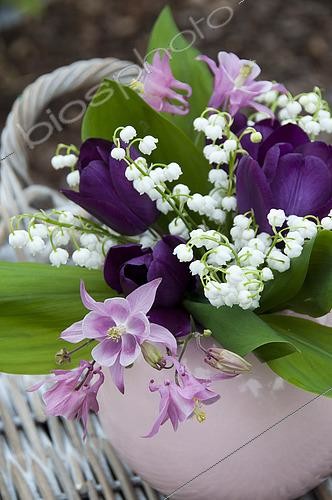 Biosphoto | 2530762 | Spring bouquet | &copy; Visions Pictures / Biosphoto