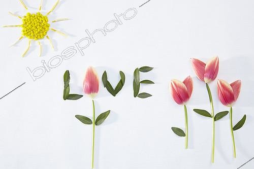 Biosphoto | 2164814 | Spring collage | &copy; Visions Pictures / Biosphoto