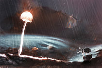 Biosphoto | 2621386 | Springtail and mushroom illuminated by rain, Chévinay Forest, Rhône, France. | &copy; Philippe Lebeaux / Biosphoto