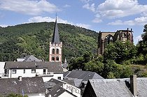 Biosphoto | 1604093 | St | © Walter G. Allgoewer / imageBROKER / Biosphoto