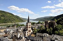 Biosphoto | 1604095 | St | © Walter G. Allgoewer / imageBROKER / Biosphoto