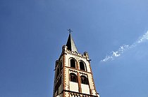 Biosphoto | 1604091 | St | © Walter G. Allgoewer / imageBROKER / Biosphoto