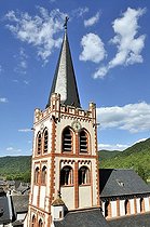 Biosphoto | 1604100 | St | © Walter G. Allgoewer / imageBROKER / Biosphoto