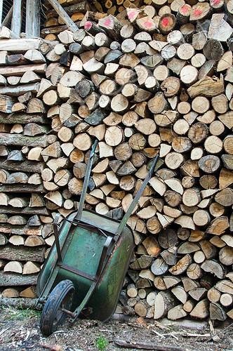 Biosphoto | 2011931 | Stack of firewood for winter in a garden | &copy; Yann Avril / Biosphoto