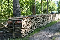 Biosphoto | 2165564 | Stacks of Firewood, Beech Essence, Spring, Northern Vosges, France | &copy; Yann Avril / Biosphoto