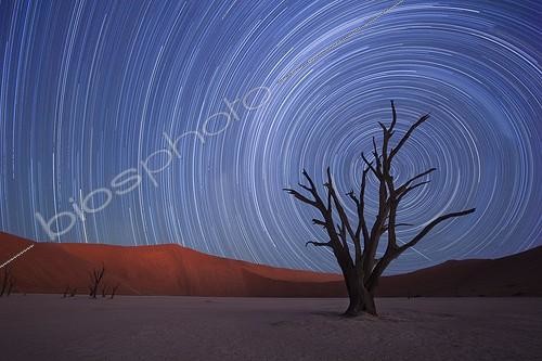 Biosphoto | 1752789 | Star trails Dead Vlei Sossusvlei Namibia | &copy; Martin Harvey / Biosphoto