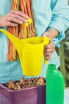 Biosphoto | 2460190 | Step-by-step preparation of a forced narcissus planter. Fertilization. | &copy; Jean-Michel Groult / Biosphoto