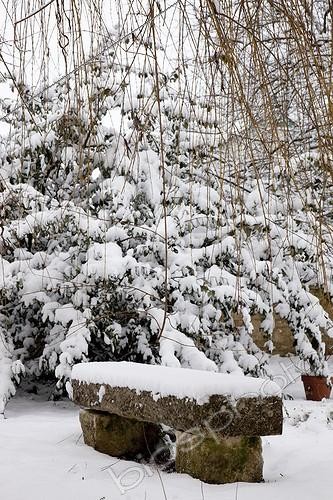 Biosphoto | 962571 | Stone bench and milkflower cotoneaster under snow | &copy; NouN / Biosphoto