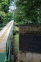 Biosphoto | 2395107 | Stone bridge, Station biologique La Selva, Costa Rica | &copy; Jean-François Noblet / Biosphoto