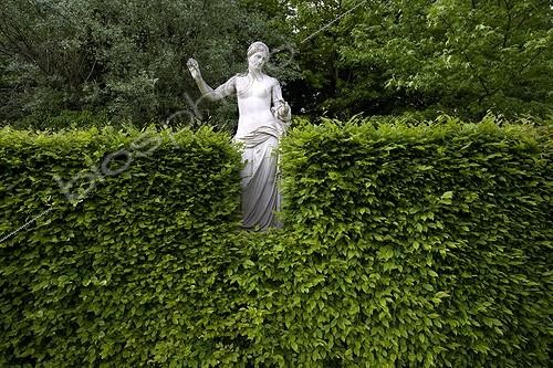 Biosphoto | 579520 | Stone statue behind an Hornbeam hedge Cormatin | &copy; Michel Gunther / Biosphoto