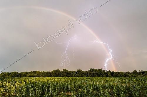 Biosphoto | 2023410 | Storm at sunset in summer - Pays de la Loire France | &copy; Xavier Delorme / Biosphoto