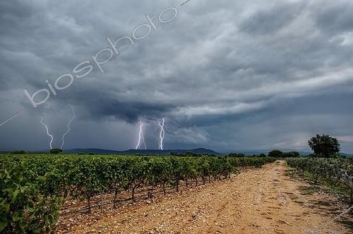 Biosphoto | 2024040 | Storm over a vineyard in autumn - France ; 5 photos overlay 1/25 seconds taken with a flash detector. | &copy; Xavier Delorme / Biosphoto
