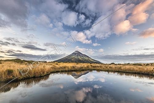 Biosphoto | 2435401 | Stratovolcano Mount Taranaki or Mount Egmont reflected in Pouakai Tarn, Mount Egmont National Park, Taranaki, North Island, New Zealand, Oceania | &copy; Robert Haasmann / imageBROKER / Biosphoto