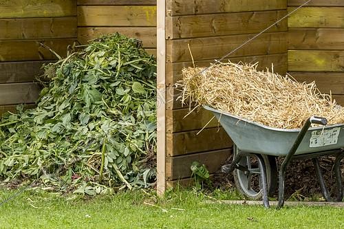 Biosphoto | 2391889 | Straw in a wheelbarrow and plant debris from garden maintenance, Garden shed | &copy; Alain Kubacsi / Biosphoto