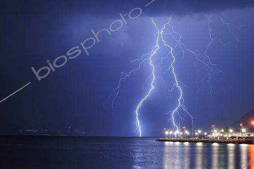 Biosphoto | 2009216 | Strikes branched Lake Geneva - France  | &copy; Christophe Suarez / Biosphoto