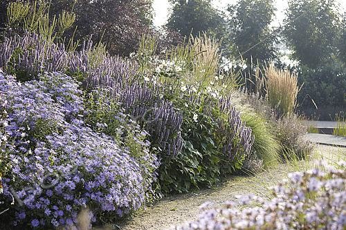 Biosphoto | 2510088 | Summer border | &copy; Visions Pictures / Biosphoto