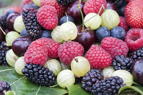 Biosphoto | 2505780 | Summer fruit mix | &copy; Visions Pictures / Biosphoto