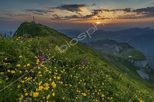 Biosphoto | 2496109 | Summery mountain meadow with summit cross and small tent, with Appenzeller Land in the background at sunrise, water meadows, Appenzell, Switzerland, Europe | &copy; Robert Seitz / imageBROKER / Biosphoto