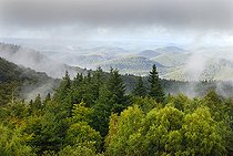 Biosphoto | 2394273 | Summits of Northern Vosges in summer, Regional Natural Park of Vosges du Nord, France | &copy; Michel Rauch / Biosphoto
