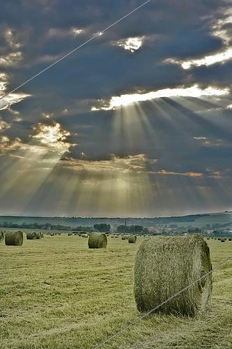 Biosphoto | 2582231 | Sunbeams piercing a stormy sky, above a meadow with hay pressed into round balls, France | &copy; Claudius Thiriet / Biosphoto