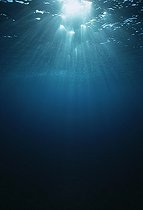 Biosphoto | 1898893 | Sunrise on coral reef in Ras Mohammed Egypt Red Sea | &copy; Jeffrey Rotman / Biosphoto