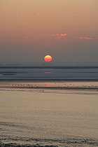 Biosphoto | 1233566 | Sunset in winter on the Manche France  | &copy; Vincent M. / Biosphoto