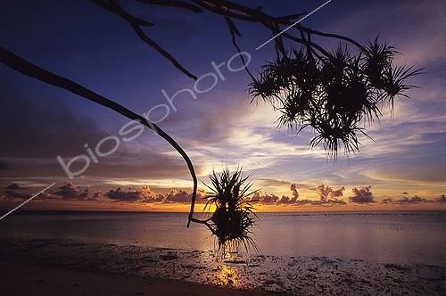 Biosphoto | 641246 | Sunset on the Lankayan island Malaysia | &copy; Didier Brandelet / Biosphoto