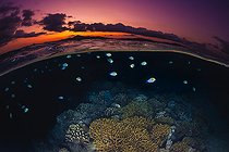 Biosphoto | 2547005 | Sunset on the Reef. The sun sets on the other side of Mayotte as the reef fish in the S-shaped channel seek shelter for the night. | &copy; Gabriel Barathieu / Biosphoto