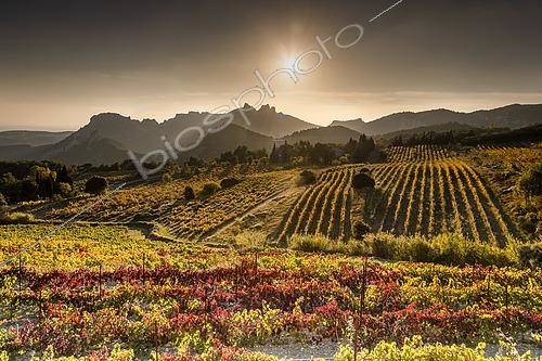 Biosphoto | 2489575 | Sunset over the vineyards and the Dentelles de Montmirail, Vaucluse, Provence, France | &copy; Alain Roux / Biosphoto