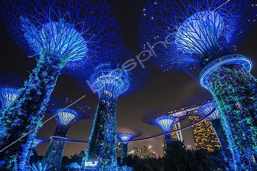 Biosphoto | 2450123 | Super trees de nuit, Jardin botanique futuriste de Gardens by the Bay, Singapour | &copy; Robert Haasmann / imageBROKER / Biosphoto