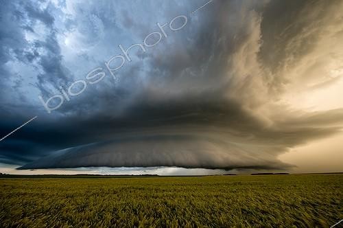 Biosphoto | 2024043 | Supercell over the countryside - France ; Mesocyclone<br>Second supercell of the day which is accompanied by a single cover architecture and rarely observed in France. This violent storm accompanied by strong winds and large hail over 7 cm in Eure et Loir and 10 cm when he touched the north of the Paris region in dusk. | &copy; Xavier Delorme / Biosphoto