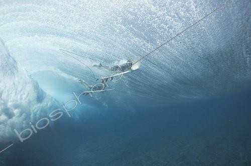 Biosphoto | 1988791 | Surfers diving through large wave - Tavarua  Viti Levu  Fiji | &copy; Tobias Bernhard Raff / Biosphoto