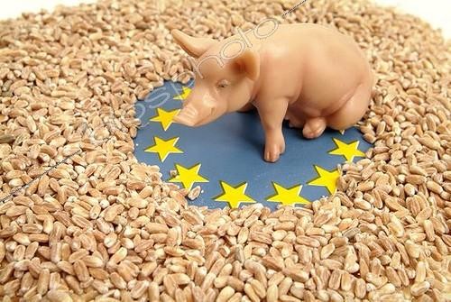 Biosphoto | 1464531 | Symbolic agriculture in European Union | © Michaela Begsteiger / imageBROKER / Biosphoto