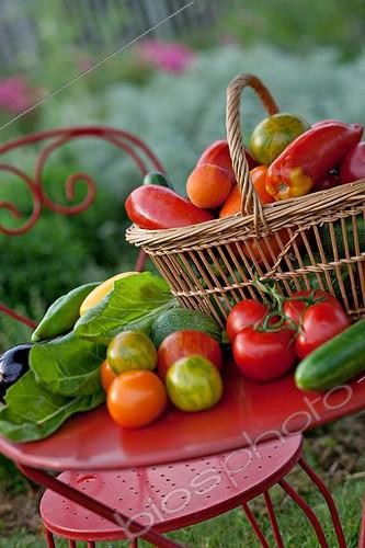 Biosphoto | 1018153 | Table of fruits and vegetables in herb garden France | &copy; Philippe Giraud / Biosphoto