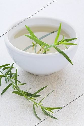 Biosphoto | 1132894 | Tarragon Tea bowl and Tarragon sprigs | &copy; Frédérique Bidault / Biosphoto