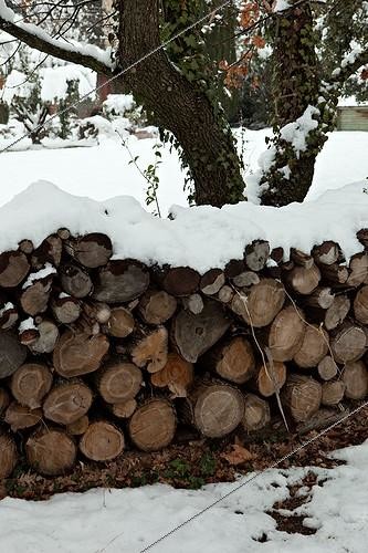 Biosphoto | 1091099 | Tas de bûches sous la neige en Provence | &copy; Philippe Giraud / Biosphoto