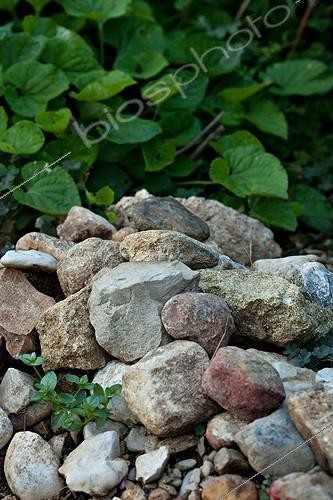 Biosphoto | 890740 | Tas de cailloux pour  hôtel à insectes  au jardin | &copy; Philippe Giraud / Biosphoto