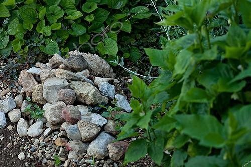 Biosphoto | 890741 | Tas de cailloux pour  hôtel à insectes  au jardin | &copy; Philippe Giraud / Biosphoto