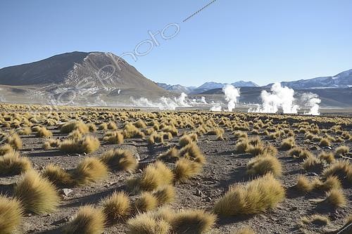 Biosphoto | 2150995 | Tatio Geysers, Puna de Atacama, near San Pedro de Atacama, II Antofagasta Region, Chile | &copy; Jean-Claude Malausa / Biosphoto