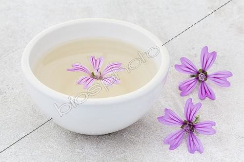 Biosphoto | 1132878 | Tea bowl of Purple flowers and Purple flowers | &copy; Frédérique Bidault / Biosphoto