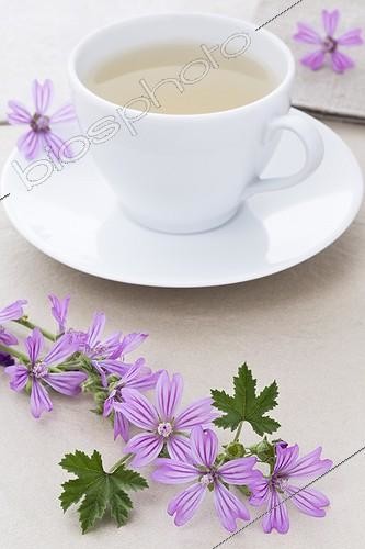 Biosphoto | 1132881 | Tea cup of Purple flowers and Purple flowers | &copy; Frédérique Bidault / Biosphoto