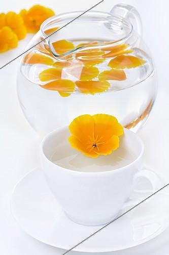Biosphoto | 988252 | Tea flower California poppy | &copy; Frédérique Bidault / Biosphoto