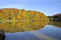 Biosphoto | 1251519 | Temperate forest of oaks and beeches in autumn Suarce | &copy; Dominique Delfino / Biosphoto