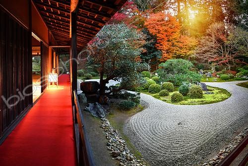 Biosphoto | 2102519 | Temple Manshuin de nuit à Kyoto, japon | &copy; Vincent Marion / Biosphoto
