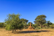 Biosphoto | 2601819 | Termite mound, Ombokoro mountains, Namibia, Africa | &copy; Alain Roux / Biosphoto
