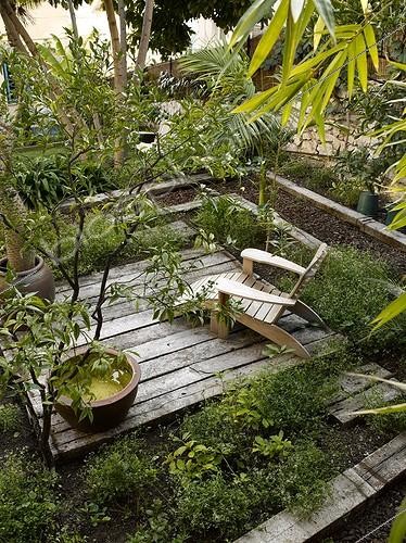 Biosphoto | 998401 | Terrace with a clump of Euphorbia France ; Landscaping: Benoit Bourdeau | &copy; Gilles Le Scanff & Joëlle-Caroline Mayer / Biosphoto