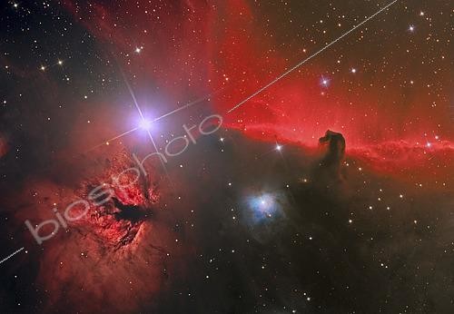Biosphoto | 2484081 | The Horsehead Nebula in the constellation Orion. | © Reinhold Wittich / Stocktrek Images / Biosphoto
