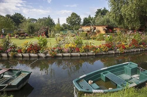 Biosphoto | 2046678 | The hortillonages “floating gardens”  of Amiens ; flower-bed with: Verbena bonariensis, verbena sp, canna, Tagetes erecta, Rudbeckia  | &copy; Dominique Dumas / Biosphoto