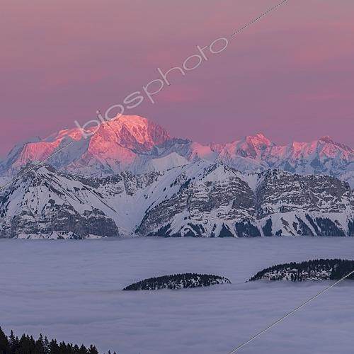 Biosphoto | 2624289 | The last rays of the sun illuminate the peaks of the Mont-Blanc massif in shades of pink, from the Aiguille du Goûter on the left to the Aiguille des Glaciers (3816m) on the right, passing by the giant of the Alps and Tré-la-Tête (3892m), which is already in shadow. A sea of clouds settles over Lake Annecy. Semnoz, Haute-Savoie, France. | &copy; Philippe Jacquot / Biosphoto